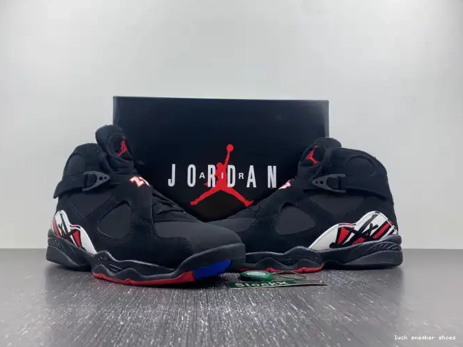 Rep LUCY 8 Playoffs 305381-062 Jordan Air 0507